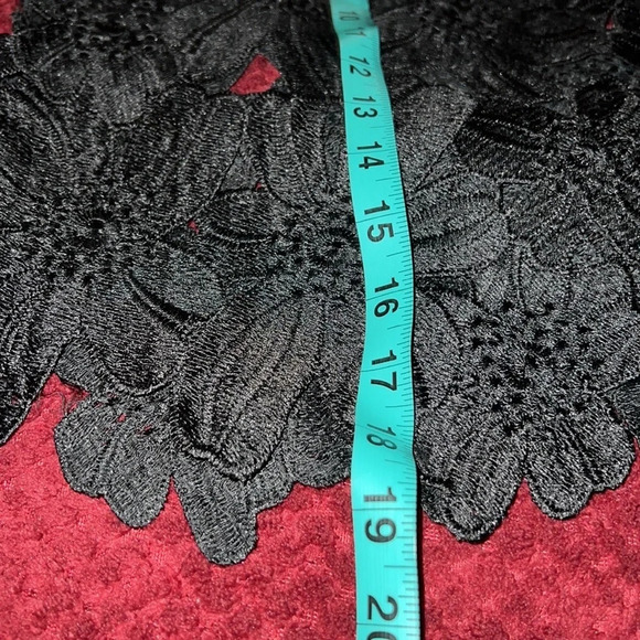 ANTHROPOLOGIE ACEMI Sleeveless Lace Blouse Sz Small - Picture 5 of 9